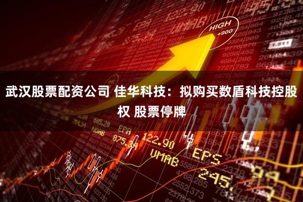武汉股票配资公司 佳华科技：拟购买数盾科技控股权 股票停牌