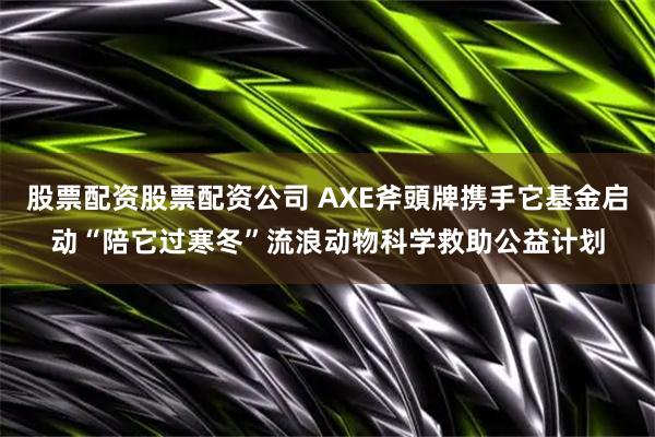 股票配资股票配资公司 AXE斧頭牌携手它基金启动“陪它过寒冬”流浪动物科学救助公益计划
