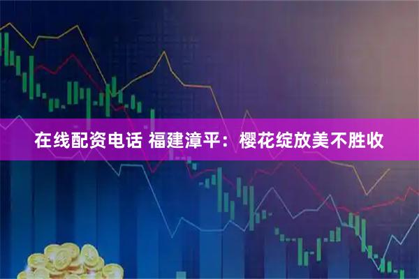 在线配资电话 福建漳平：樱花绽放美不胜收